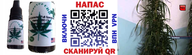 ссылка на мегу как зайти  Пучеж  Еда ТГК конопля 