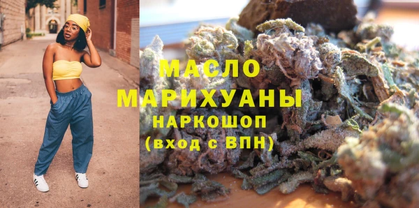 дмт Каменка