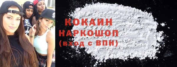 дмт Каменка
