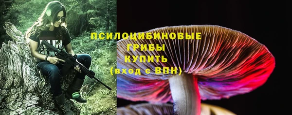дмт Каменка