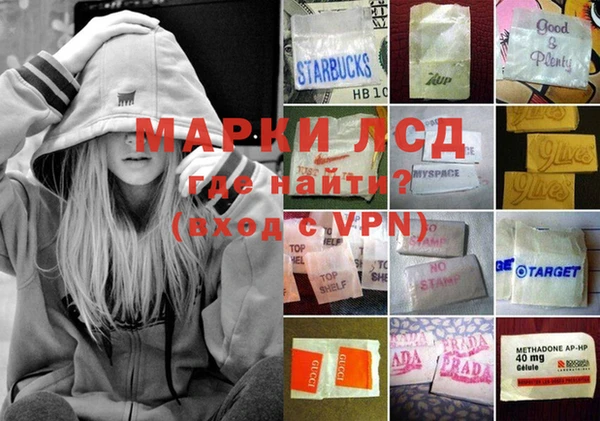 дмт Каменка