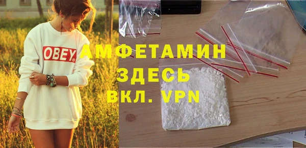 дмт Каменка