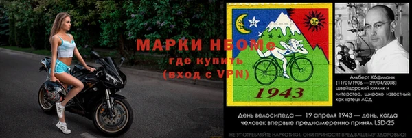 дмт Каменка