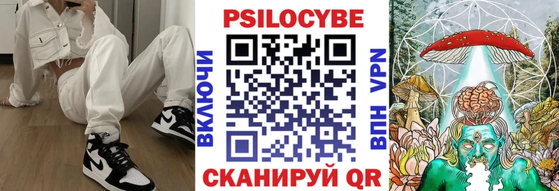 KRAKEN ССЫЛКА  Пучеж  Псилоцибиновые грибы GOLDEN TEACHER  магазин продажи наркотиков 